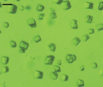 Photosystem II Crystals