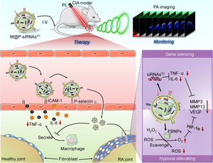 Basic schematic showing how the M@P-siRNAsT/I of the present study can function as a PA imaging-guided RA therapeutic.