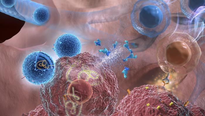 Illustration showing exosomes (blue) deliver IL-12 mRNA to lung cancer cells (brown)