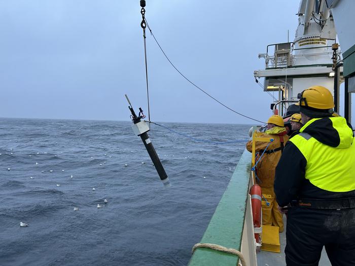 Global fleet of undersea robots reveal the phytoplankton hidden beneath the ocean's surface