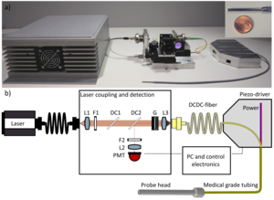 Experimental set-up for multimodal non-linear DCDC fiber scanning CARS/SHG/TPEF endoscopy