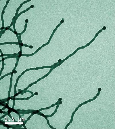 Multicompartment, Self-Assembled Cylinders 1,000 Times Thinner than a Human Hair