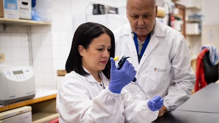 Los jabalíes podrían ser una fuente potencial de transmisión de la hepatitis E a las personas en el área metropolitana de Barcelona