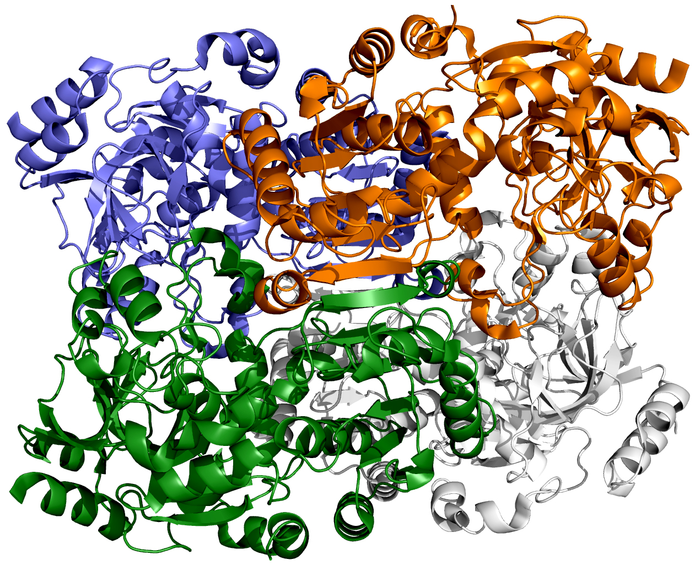 An enzyme that's a champ at carbon fixing