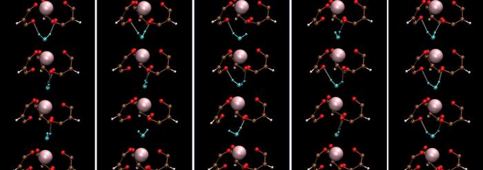 Snapshot of Ho(III) aqua-tris(dibenzoylmethane) or Ho-(DBM)3.H2O derived from classical molecular dynamics (CMD) simulations