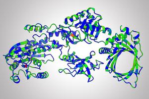 Protein mutations