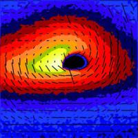 X-Ray Polarization Near a Black Hole