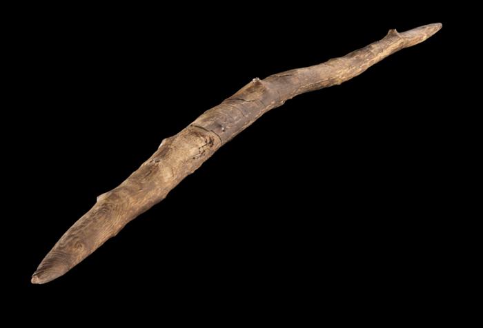 A double-pointed wooden throwing stick from Schöningen, Germany: Results and new insights from a multianalytical study