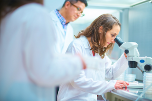 Dmitri Nusinow PhD, and Maria Sorkin, PhD working together with colleagues in the Plant Transformation Facility.