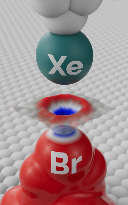 Schematic view showing the principle of the experiment