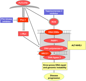 Schematic representation of proposed pathway