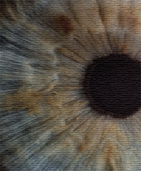 Optical Coherence Tomographs