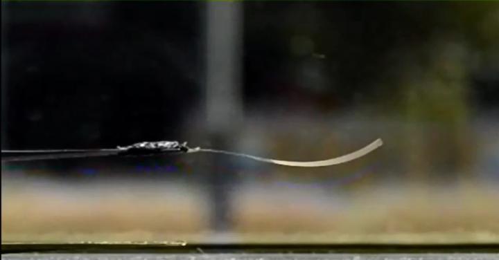 Plastic Begins to Oscillate Spontaneously