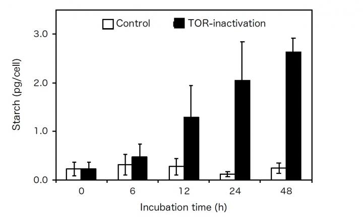 Algal Starch Accumulation through TOR Inactivation