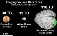 Imaging Volume Sizes