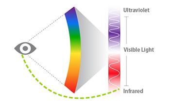 Light Spectrum