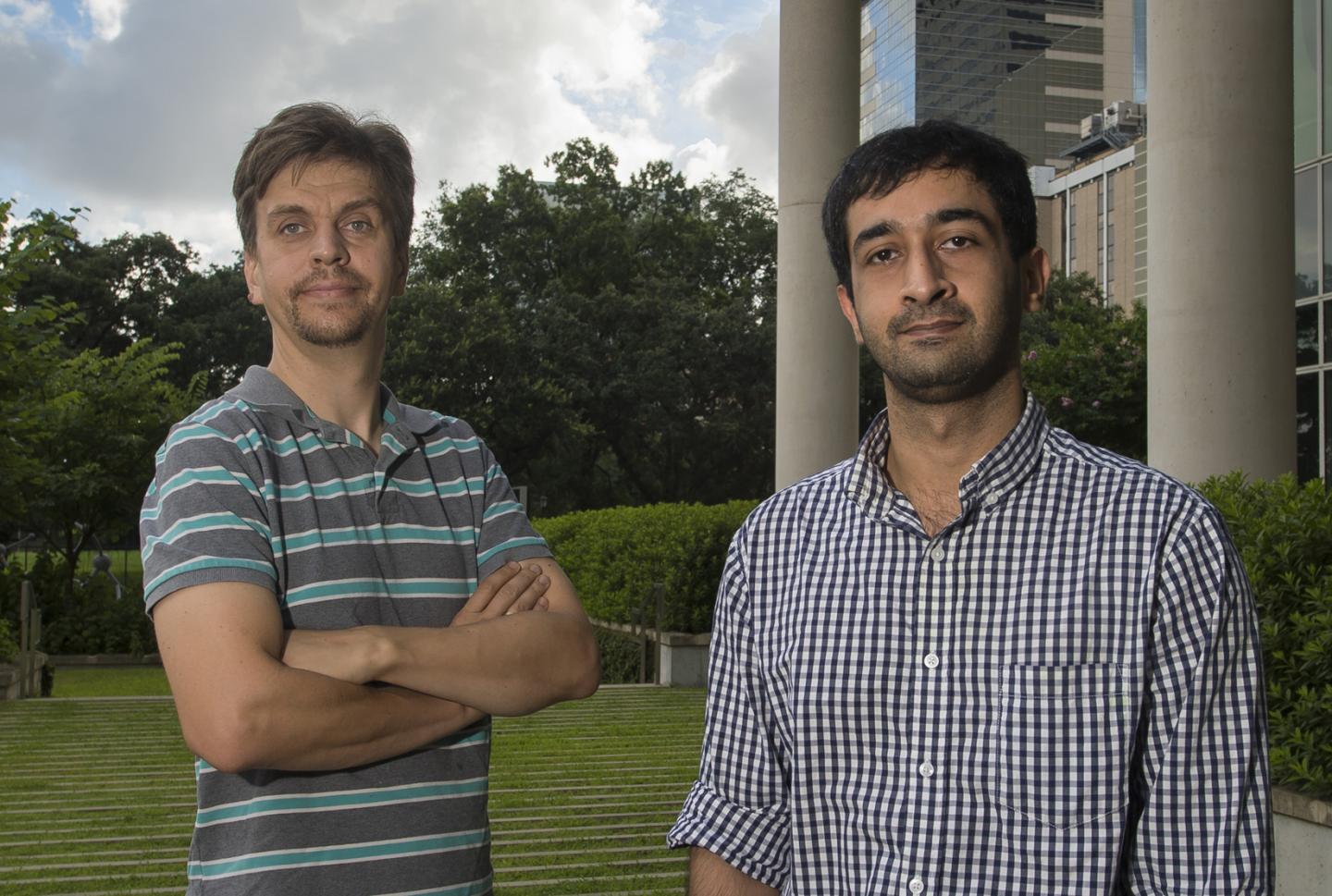Oleg Igoshin and Jatin Narula, Rice University