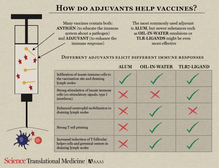 Understanding Vaccine Formulations Gives Immunizations a Boost (1 of 5)