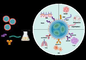 Fig. 6 Surface modification strategies for tissue targeting of LNP-mRNA.