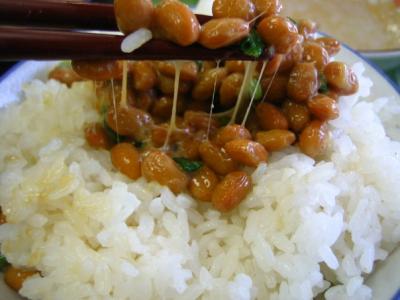 An Enzyme in Natto