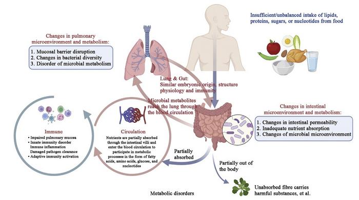 Correlation between metabolic dysfunctions and chronic obstructive pulmonary disease.