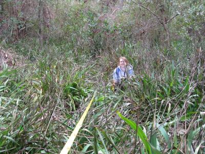 Kristin Powell, Washington University in St. Louis