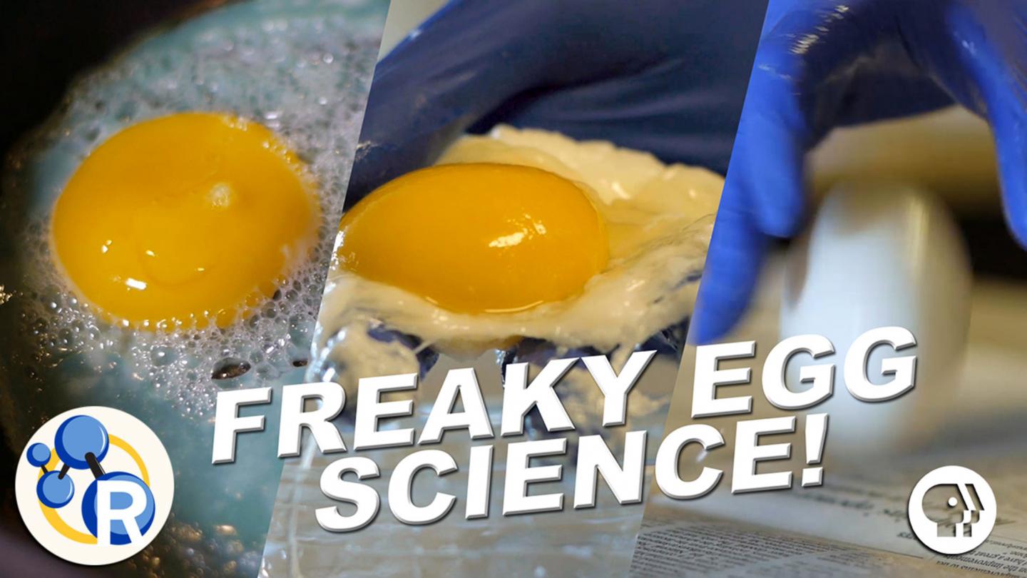 How to 'Cook' An Egg without Heat -- and Other Weird Egg Science
