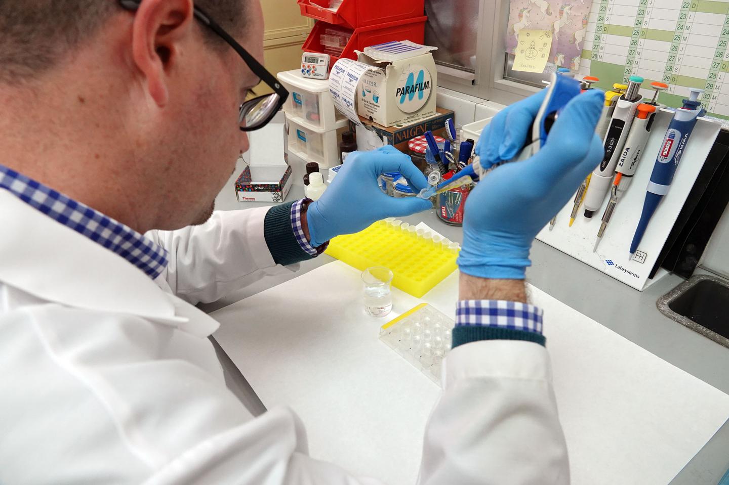 Researchers Demonstrate that a Fragment of the Brain Molecule Galanina Is Involved in Anhedonia