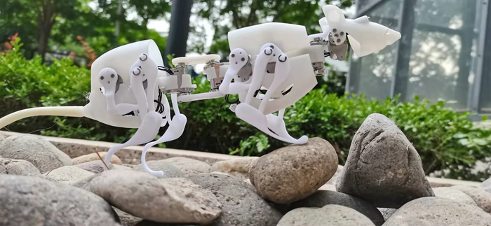 Side view of the robotic rat standing on uneven cobblestones