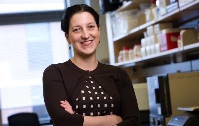 Terri Camesano, Worcester Polytechnic Institute