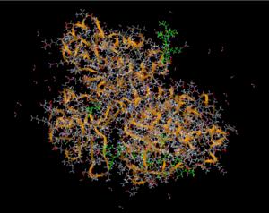 A Protein Structure