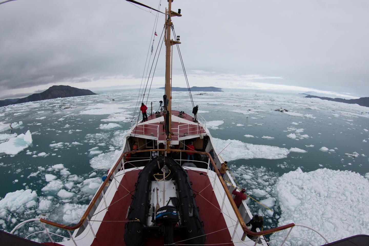 Shrinking Shelf and Faster Flow for Greenland Glacier (1 of 3)