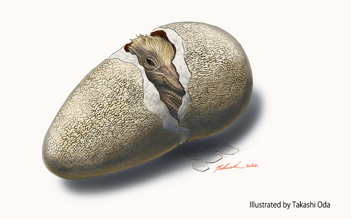 New dinosaur egg species helps crack mystery | EurekAlert!