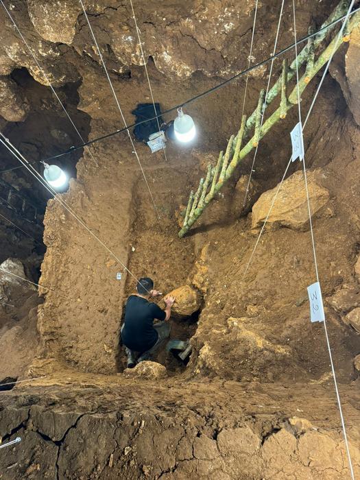 Excavation in Tam Pà Ling