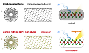 Studying nanotubes wrapped around carbon nanotubes and BN nanotubes.