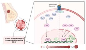 Reducing breast cancer recurrence