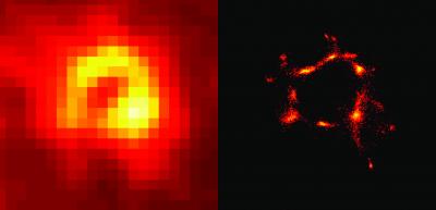 Microscope Images of Podosomes