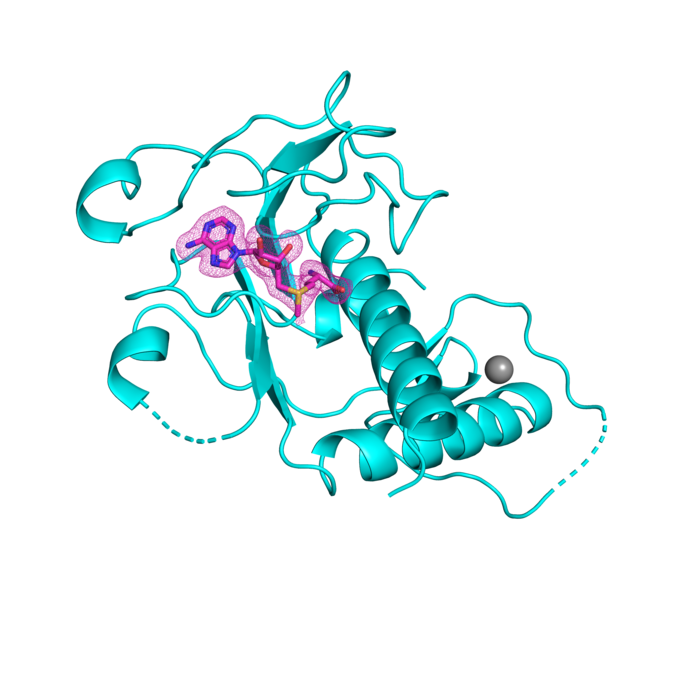 3-D structure of SARS-CoV-2 nsp14 methyltransferase domain