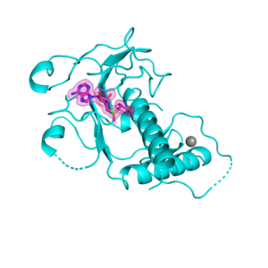 3-D structure of SARS-CoV-2 nsp14 methyltransferase domain