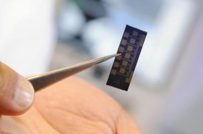 Carbon interconnects