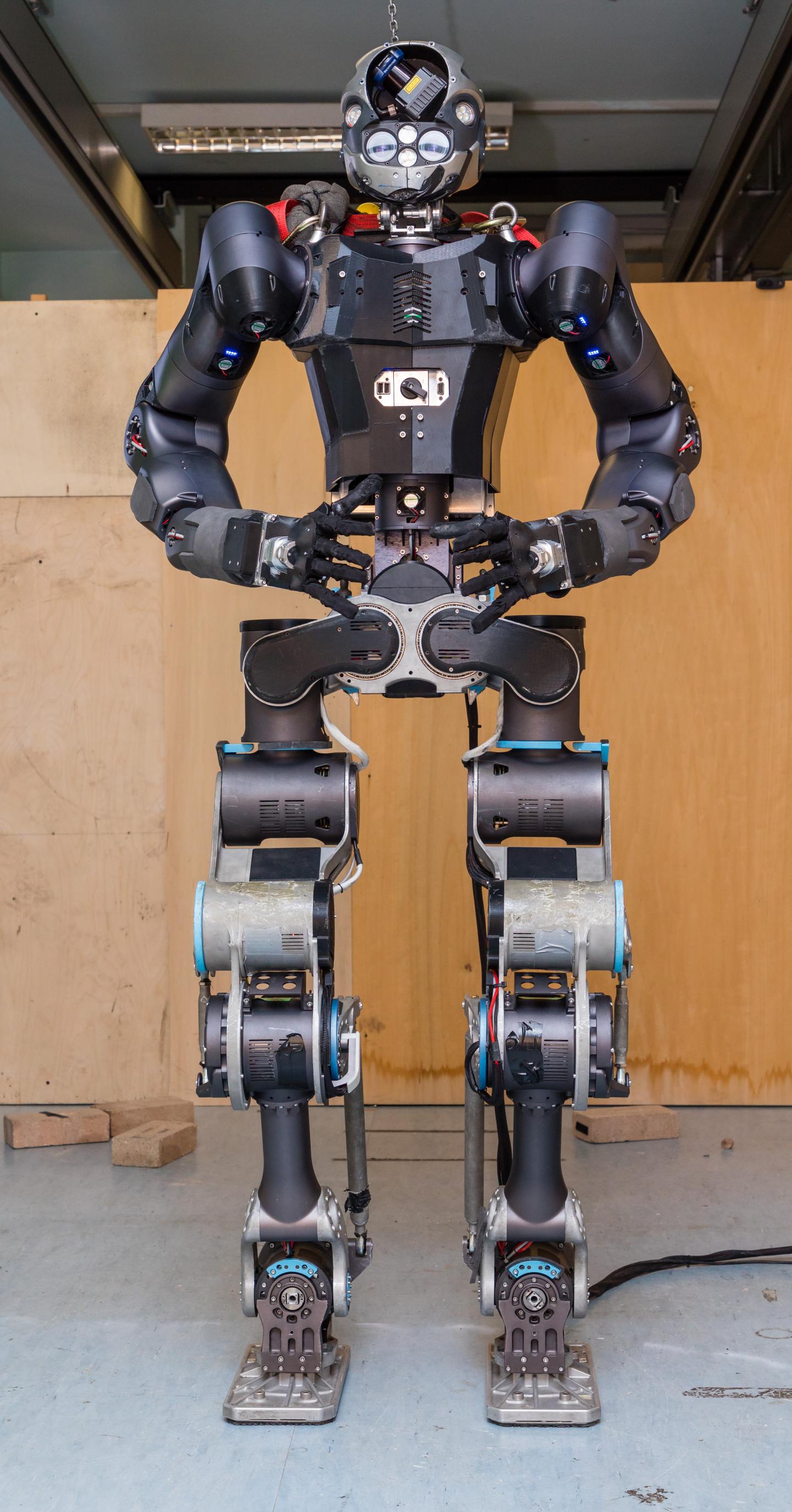 WALK-MAN Humanoid Robot as a Robotic Avatar