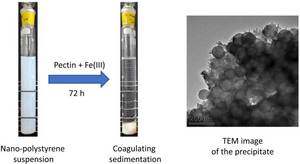 95% nanoplastic removal with apples?!