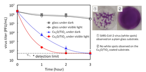 Figure 1: Antiviral effect towards Delta valiant of SARS-CoV-2 by the photocatalyst coating under light and dark conditions