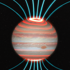 Jupiter's Magnetic Field Lines