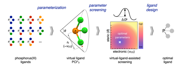 VLA screening workflow