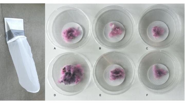 Electric Clothes Dryers: An Underestimated Source of Microfiber Pollution