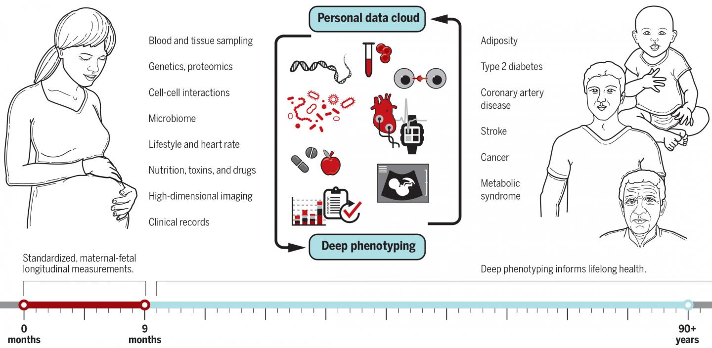 Taking a Deep Dive into Phenotyping in Pregnancy (1 of 1)