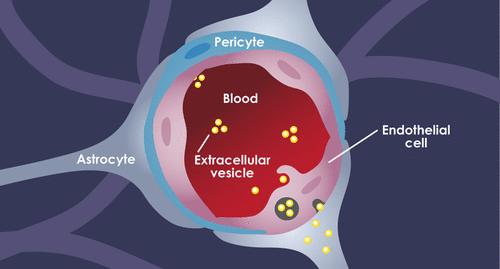 Extracellular Vesicles