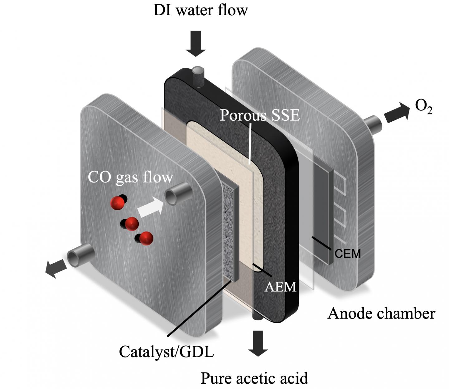 ACETIC 2