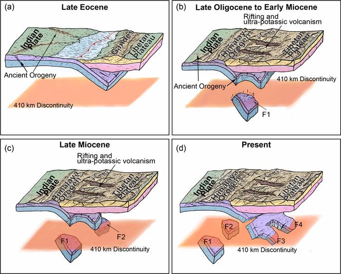 Schematic cartoons showing the evolution of the subducted northern edge of the Indian continent.